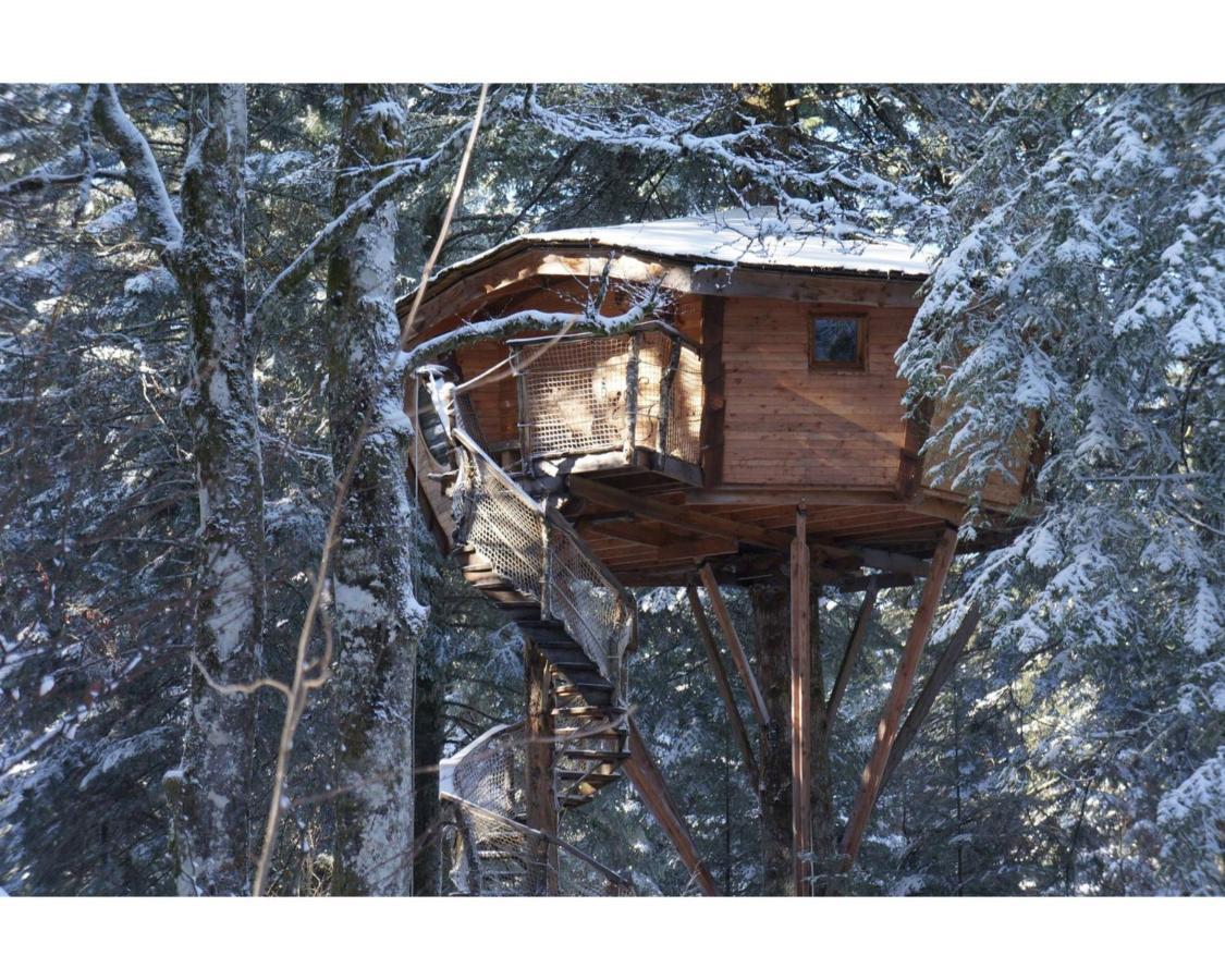 Cabanes Des Volcans La Tour-d'Auvergne Ngoại thất bức ảnh