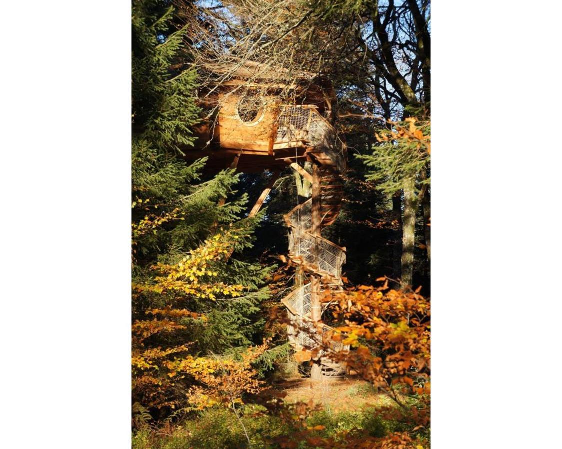 Cabanes Des Volcans La Tour-d'Auvergne Ngoại thất bức ảnh