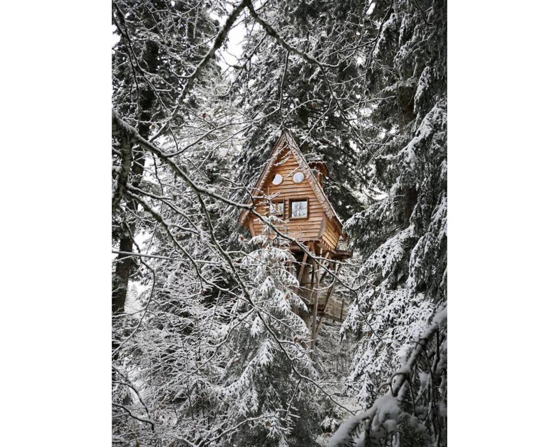 Cabanes Des Volcans La Tour-d'Auvergne Ngoại thất bức ảnh