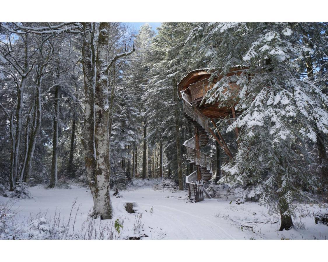 Cabanes Des Volcans La Tour-d'Auvergne Ngoại thất bức ảnh