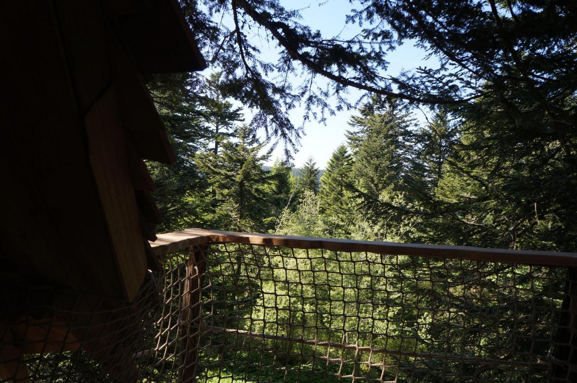 Cabanes Des Volcans La Tour-d'Auvergne Phòng bức ảnh